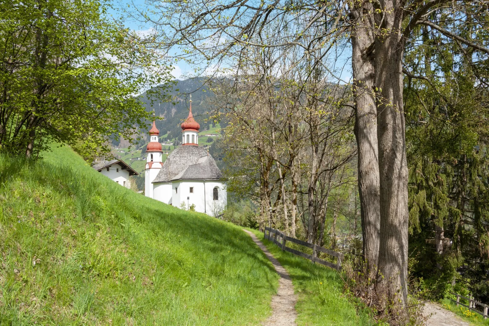 Kellerjoch 7PAX-Areas summer 1km