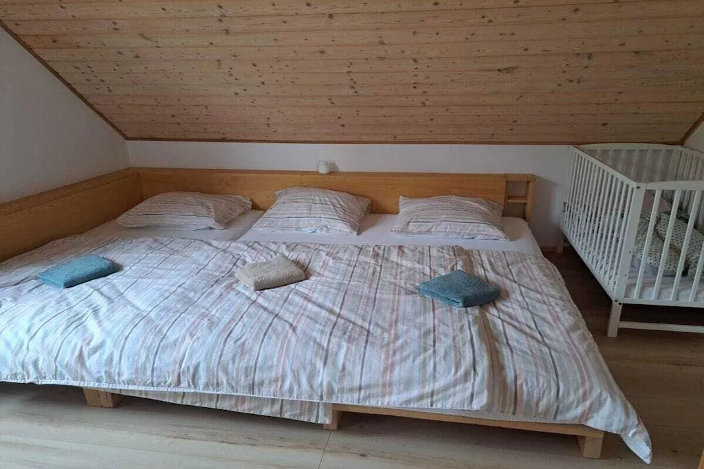 546576-Non tagué