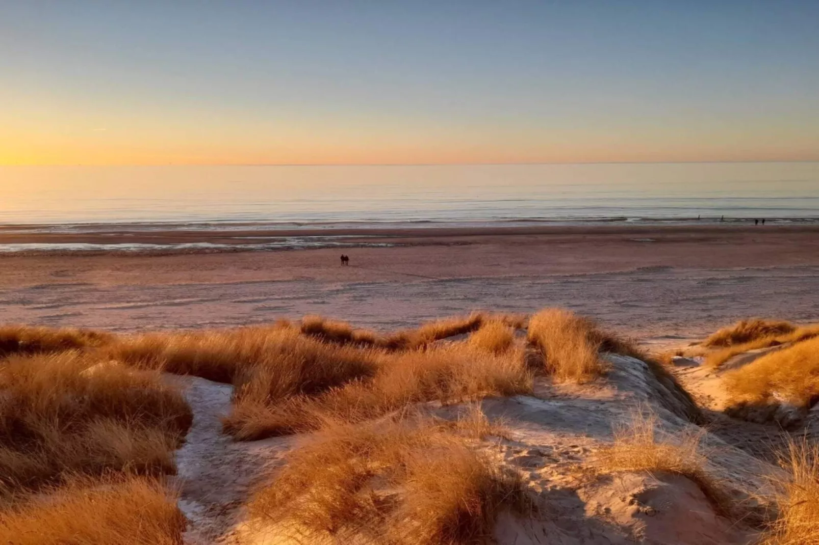 8 person holiday home in Blåvand-Water view