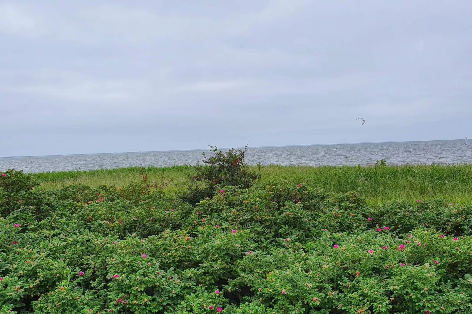 6 person holiday home in Hemmet-Water view