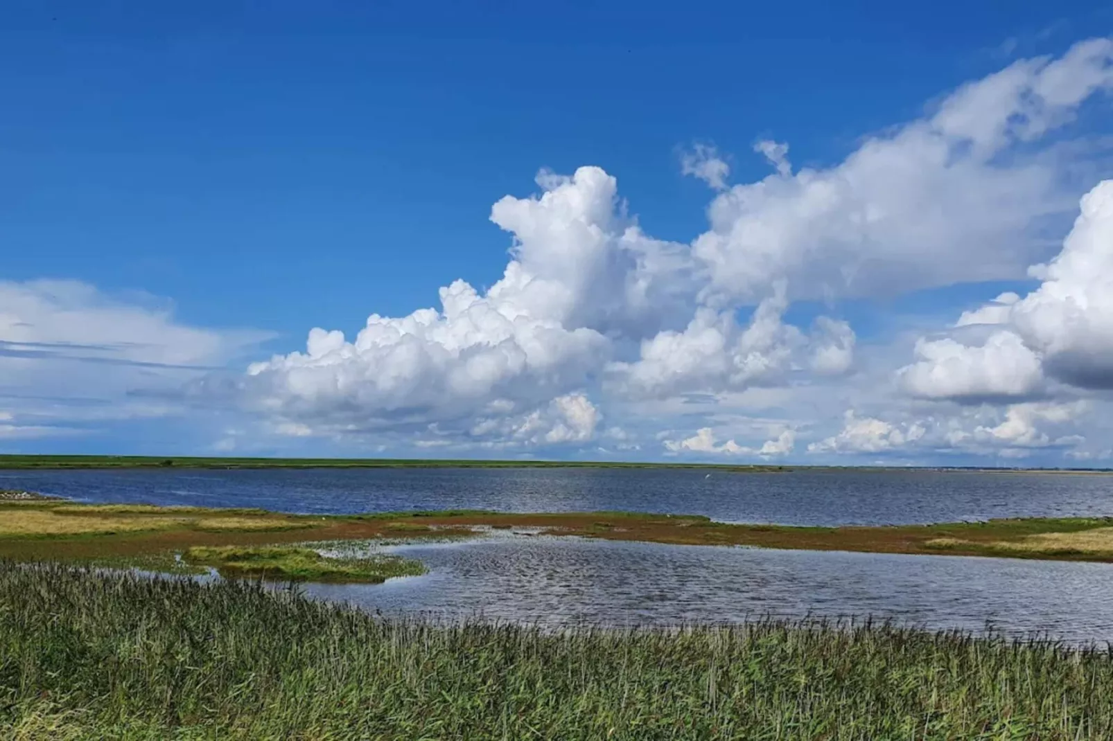 Maison de vacances pour 6 a Højer-Vue sur l'eau