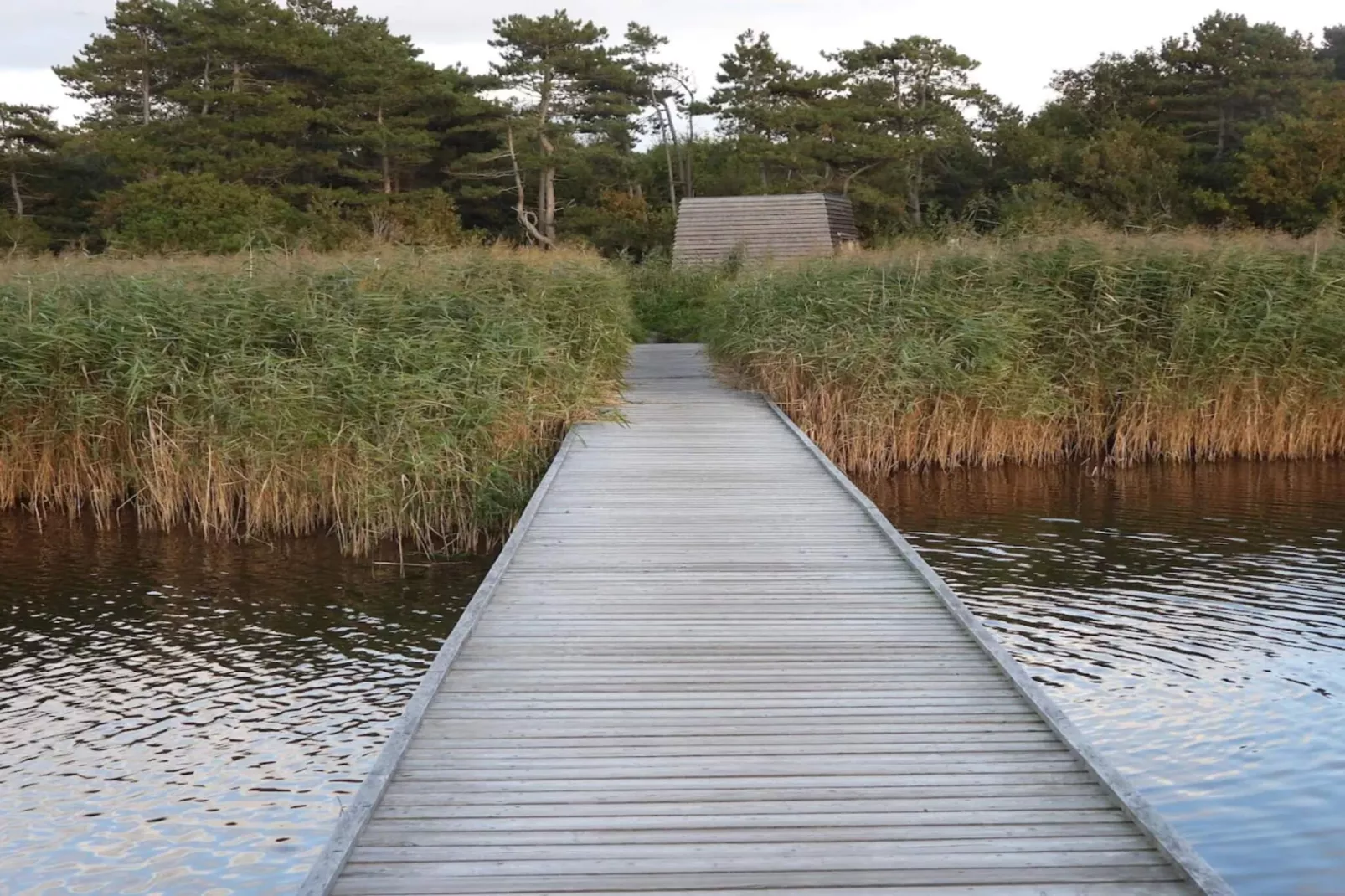 Maison de vacances pour 6 a Vig-Vue sur l'eau