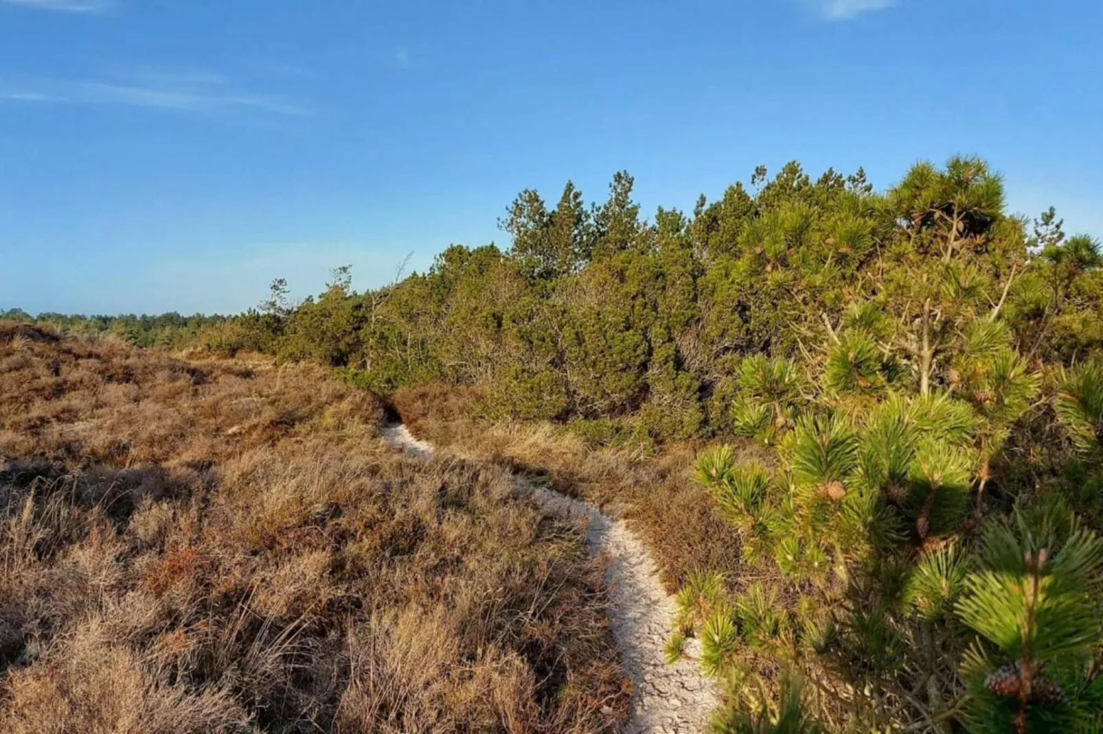 6 person holiday home in Rømø-By Traum-Untagged