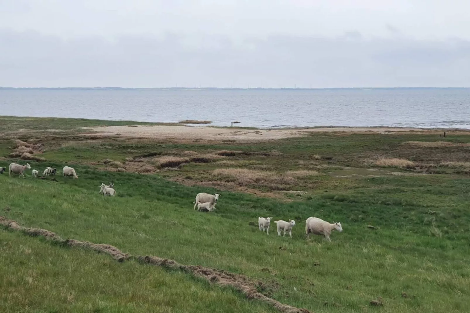 4 person holiday home in Rømø-By Traum-Water view