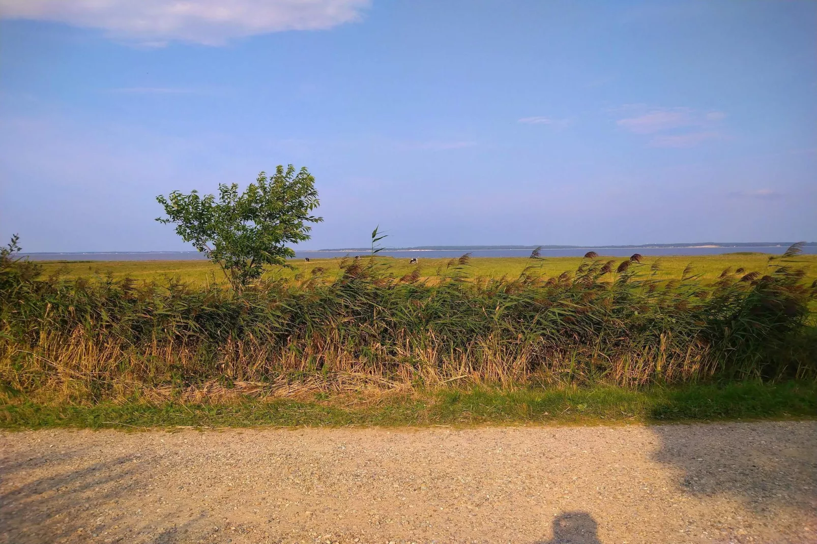 Strandflucht in der Ho-Bucht -- By Traum Ferienwohnungen-Nicht zugeordnet