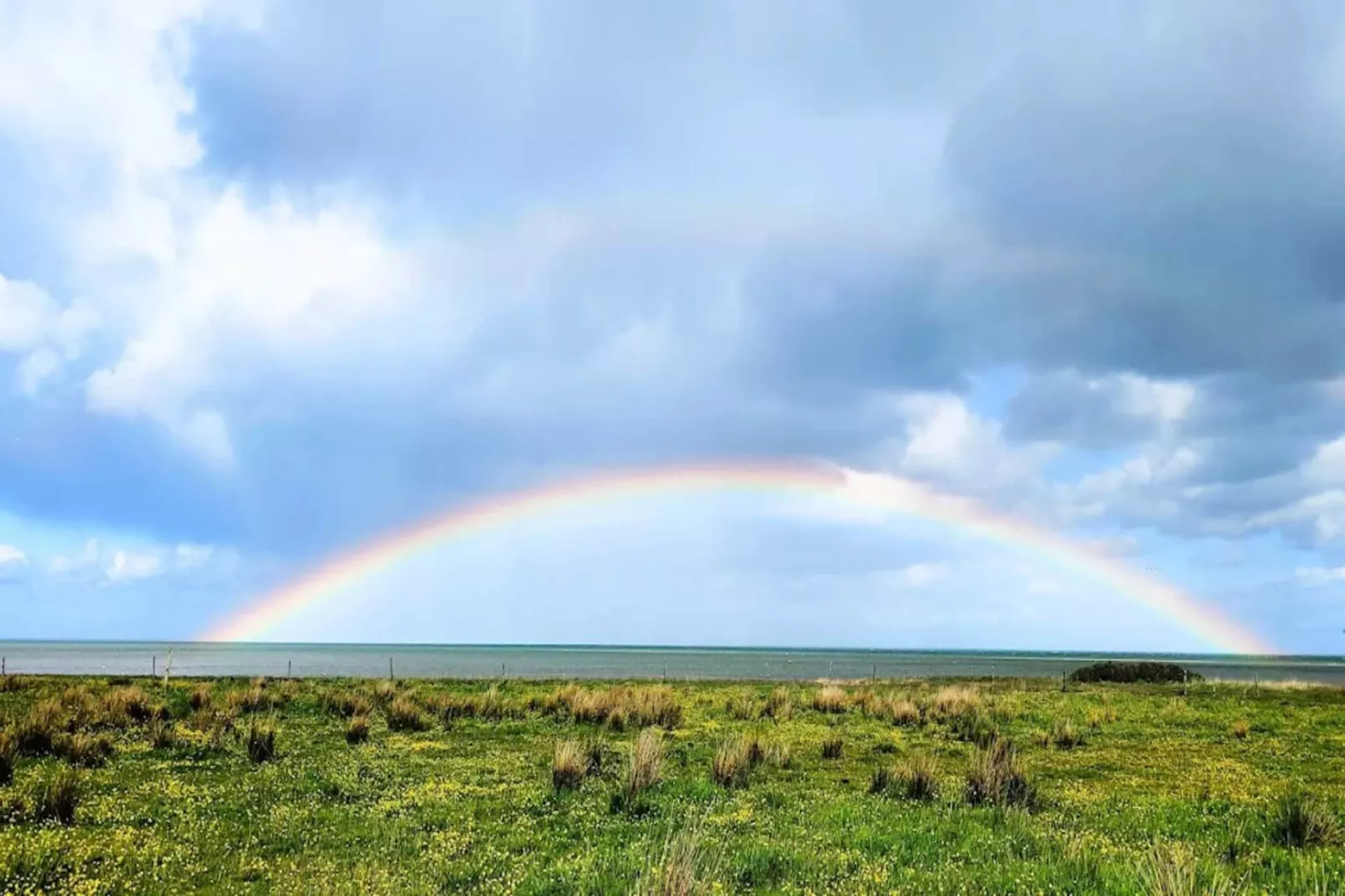 6 person holiday home in Hadsund-By Traum - Untagged