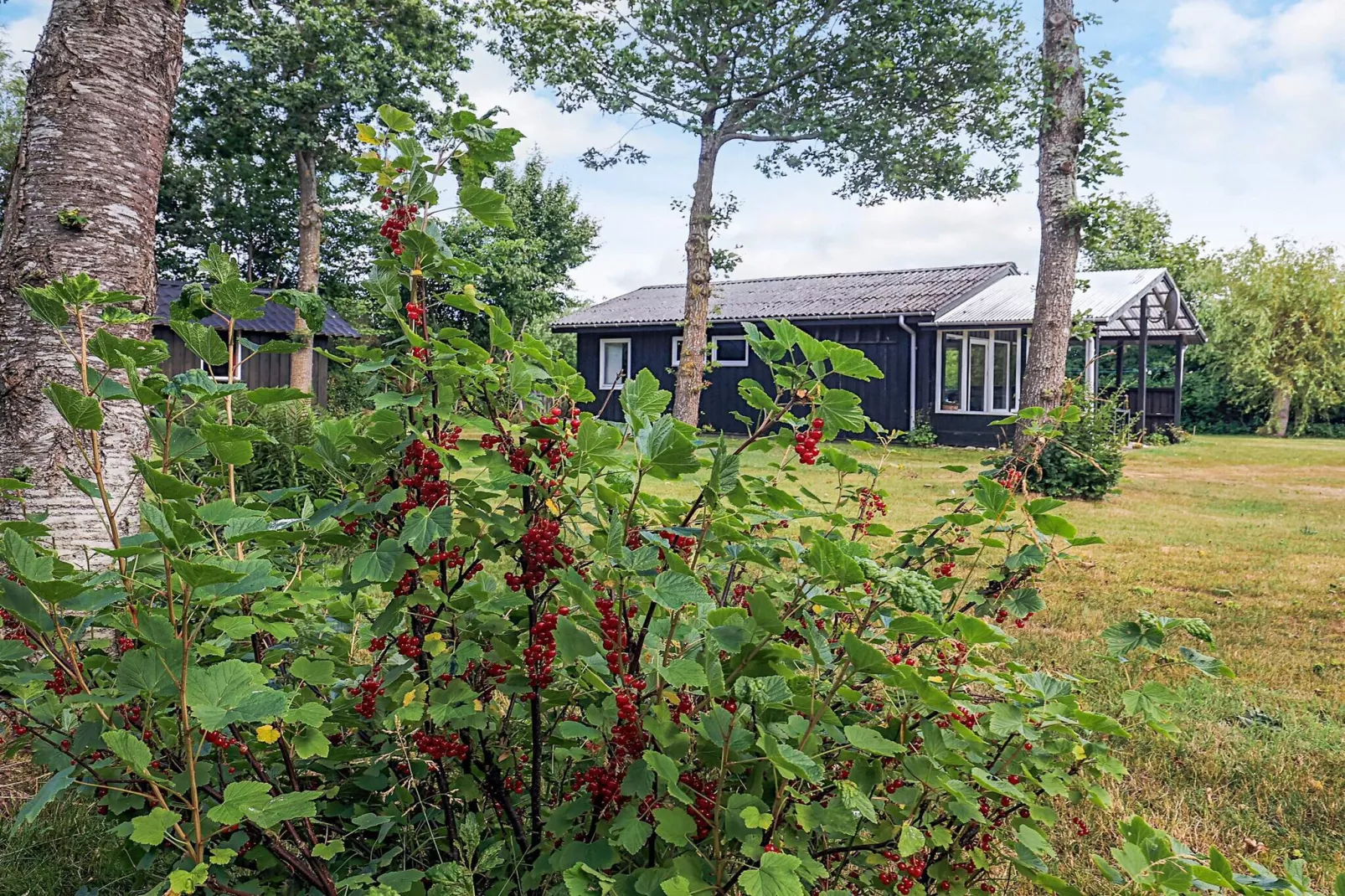 2 person holiday home in Thyholm-By Traum-Outdoor