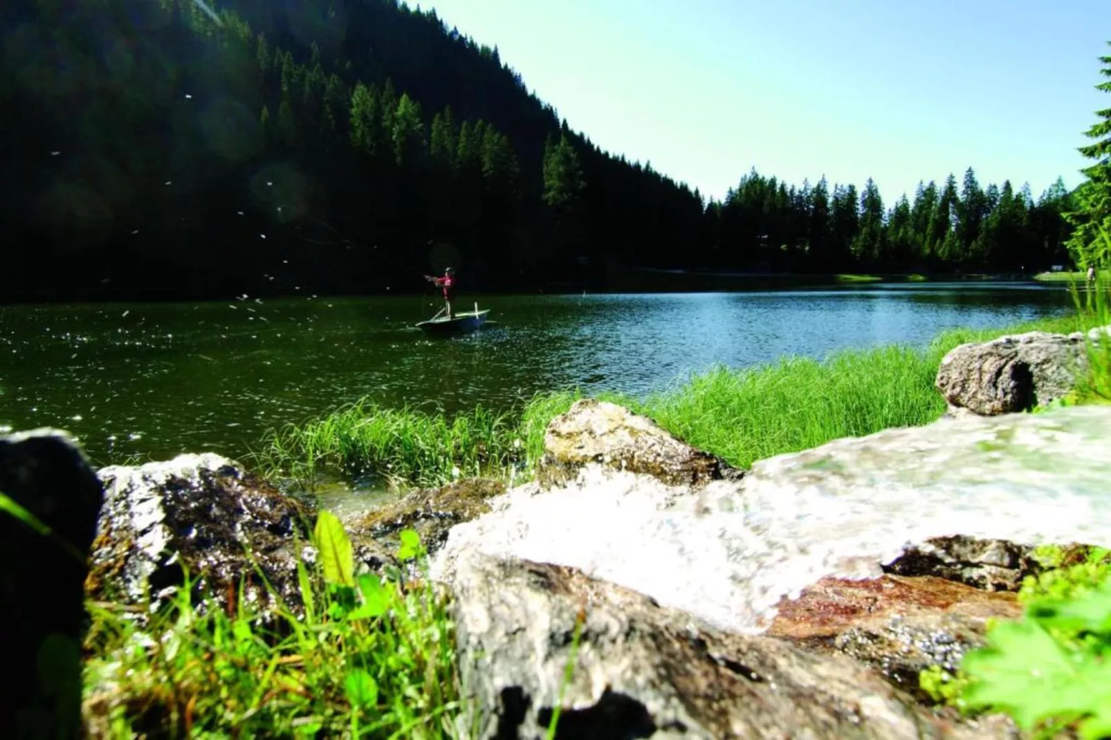 Appartment Roswitha-Areas within 20km in summer