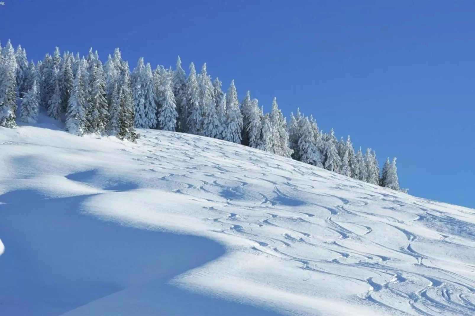 Chalet Apartment Mittenwald Top 2-Area within 20km in winter