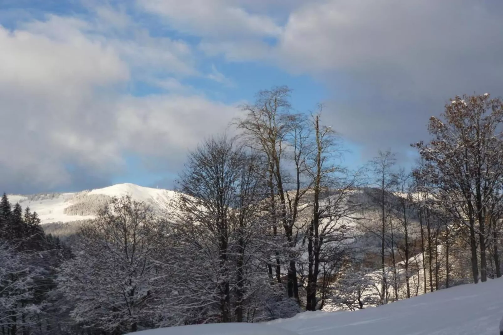Chalet Apartment Mittenwald XL-Area within 20km in winter