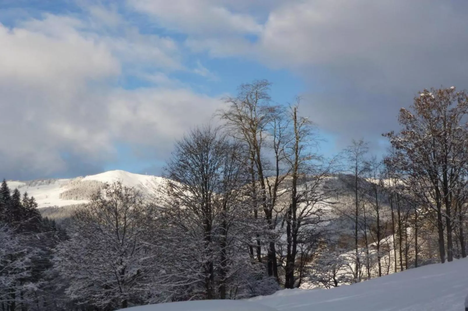 Chalet Apartment Mittenwald Top 1-Area within 20km in winter