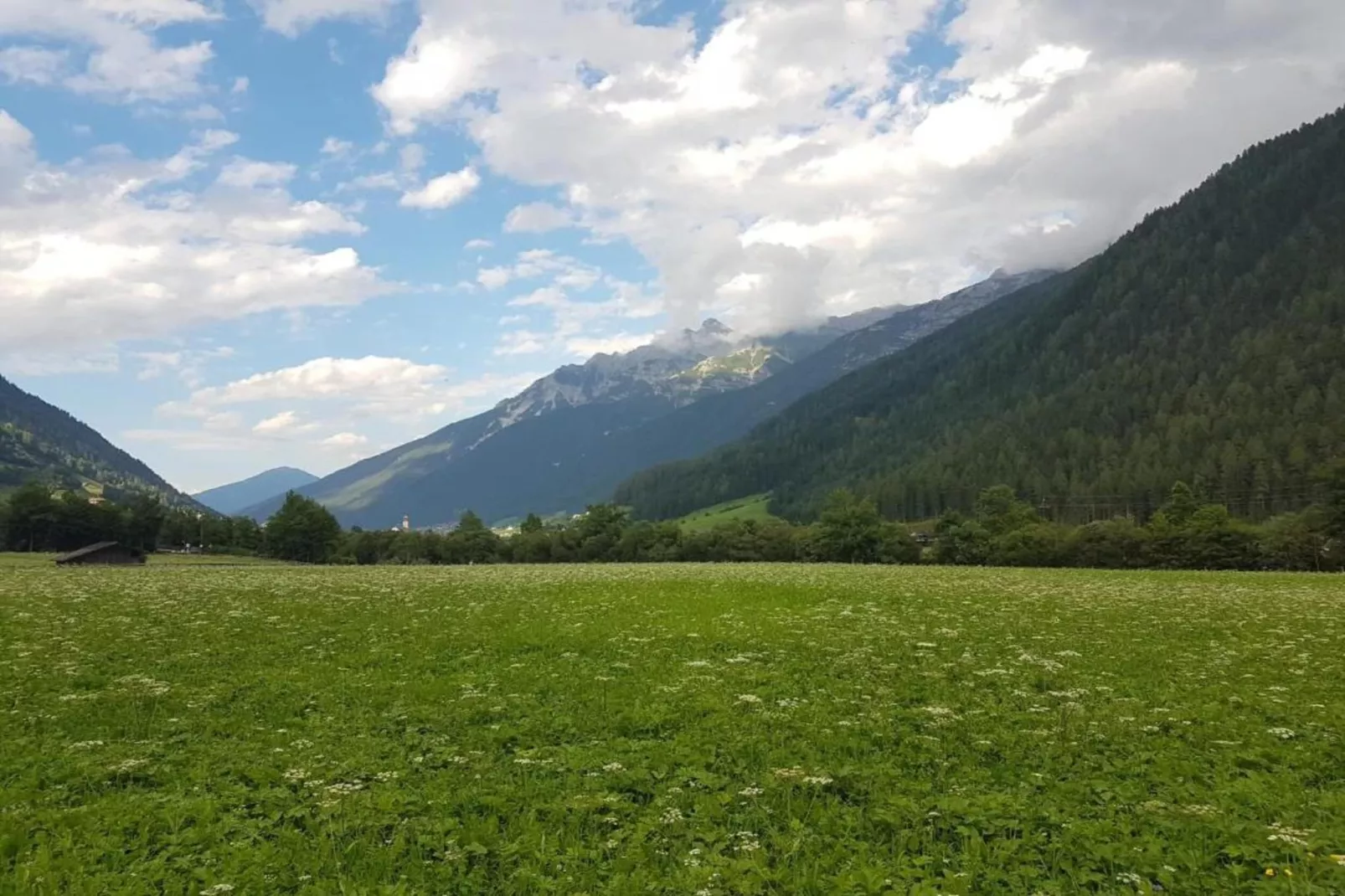 Apartment 12-Gebiete Sommer 20 km
