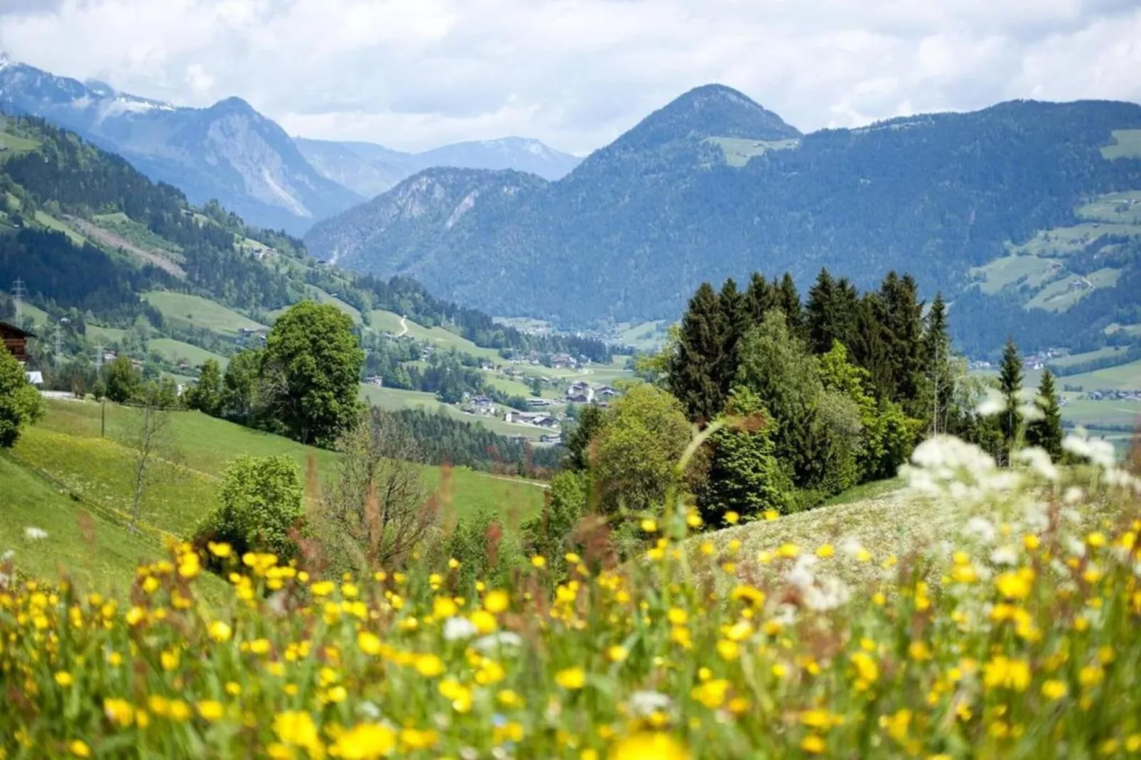 Haas-Zones été à 20 km