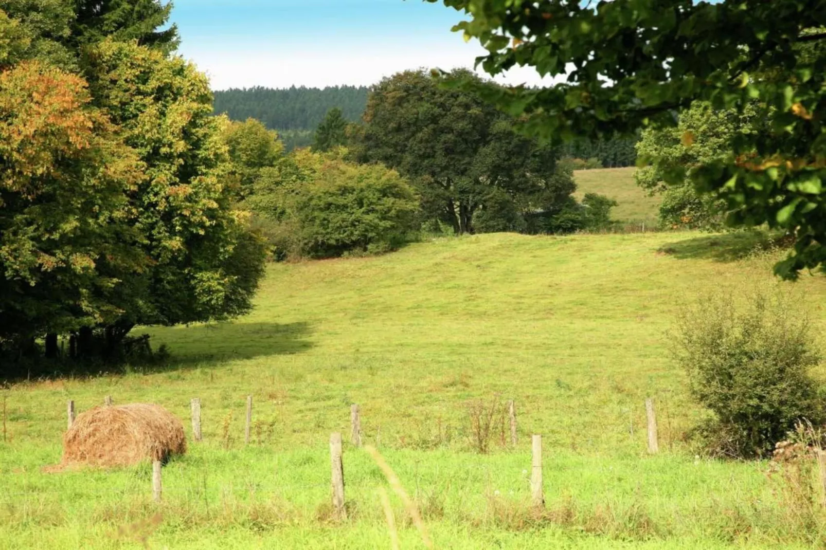 La Ferme de Foy 24-Areas within 5km in summer