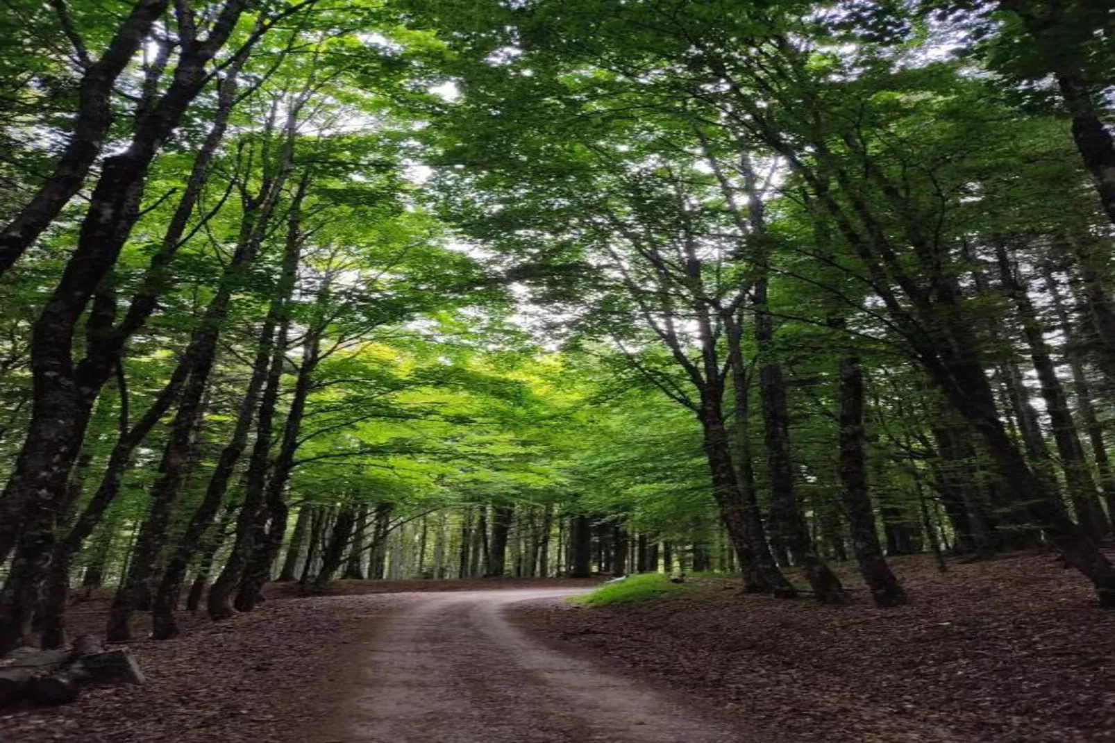 Le Paradis et Espace-Areas within 20km in summer