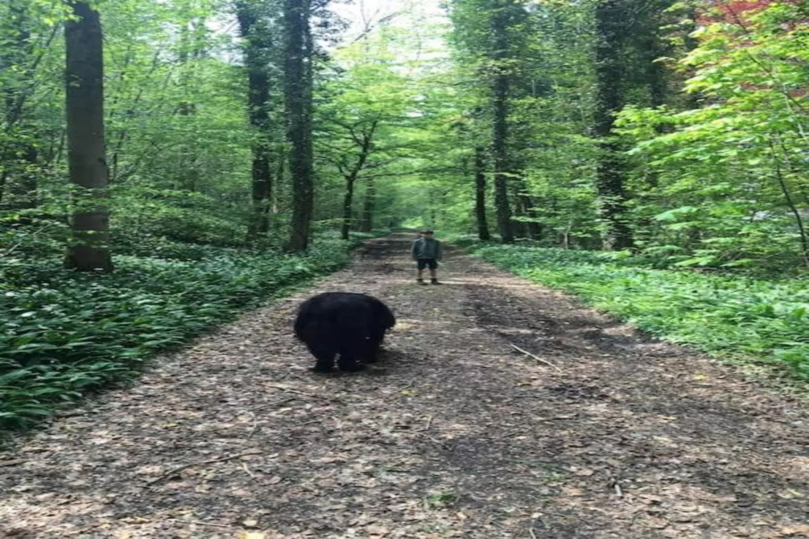 Les secrets du chat-Areas within 20km in summer