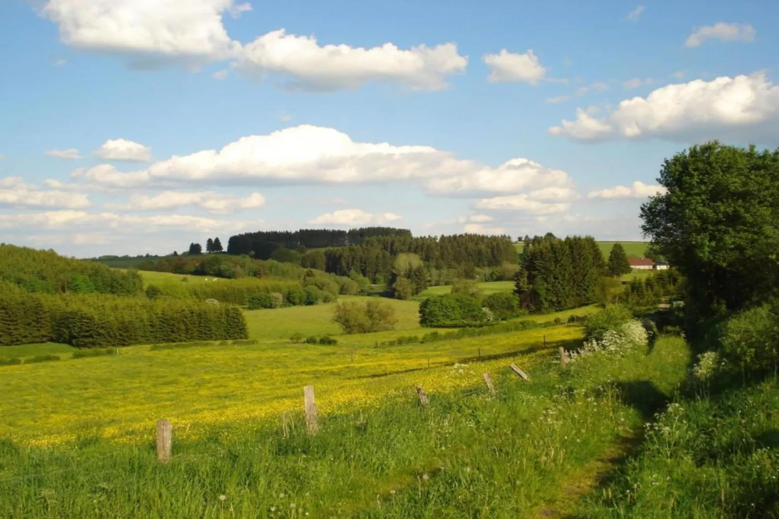 Zevenster-Areas within 20km in summer