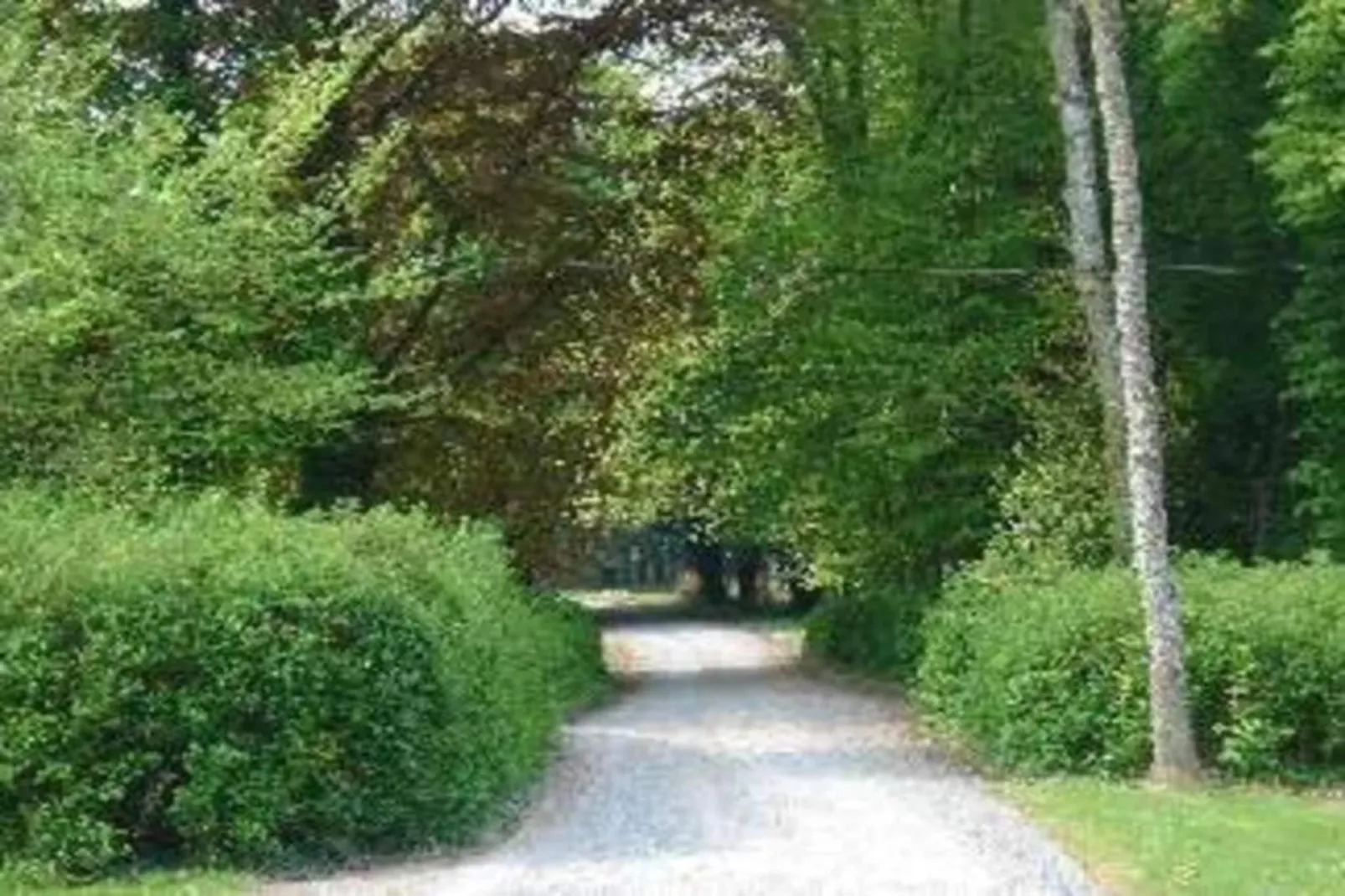 La Maison du Cocher-Zones été à 20 km