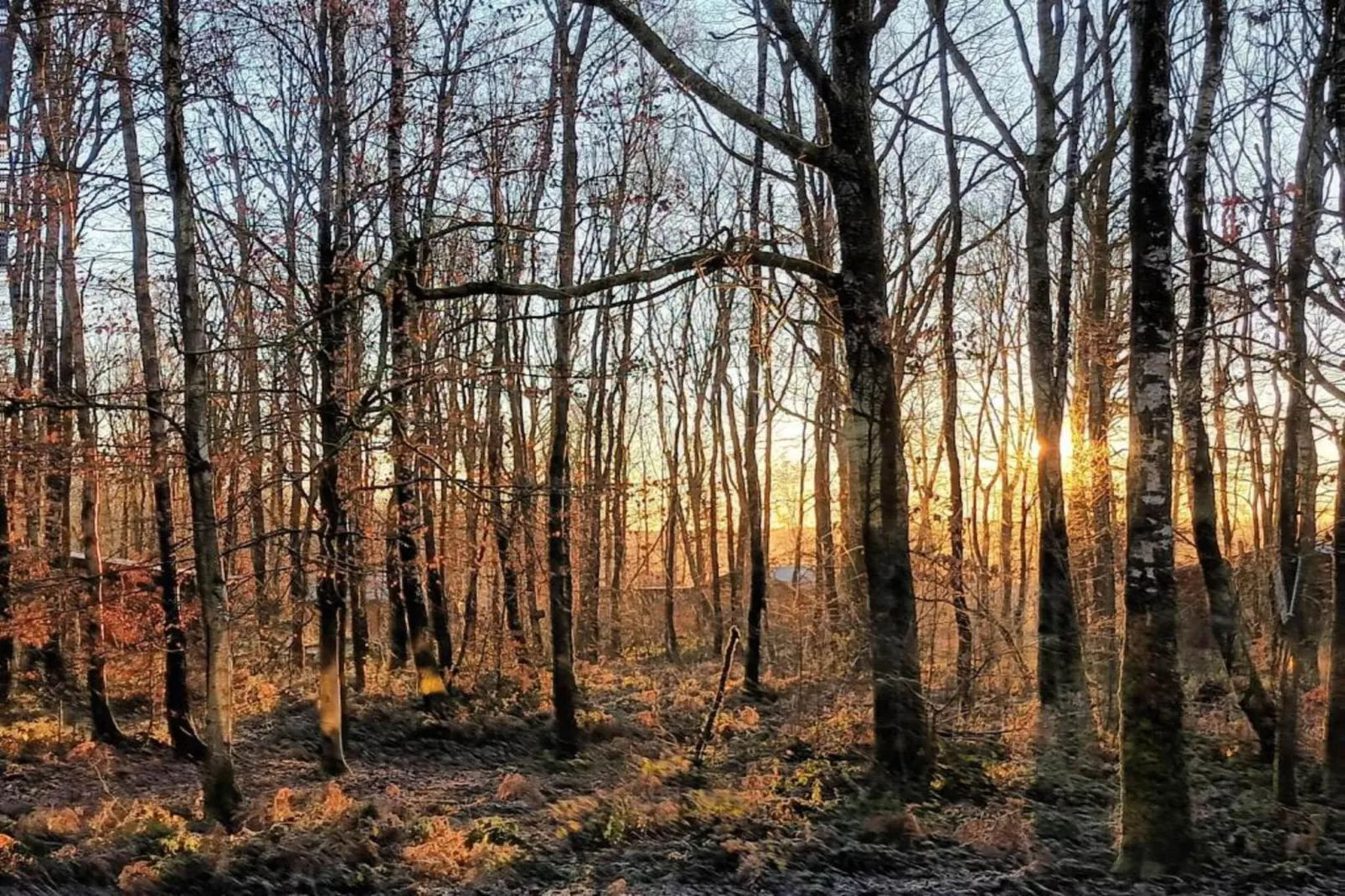 Abri Vert-Areas within 20km in summer