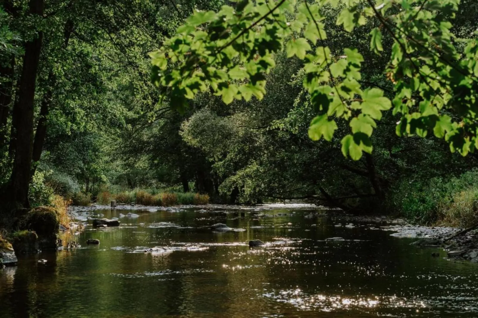 Les Jardins de l'Ourthe 8-Gebiete Sommer 20 km