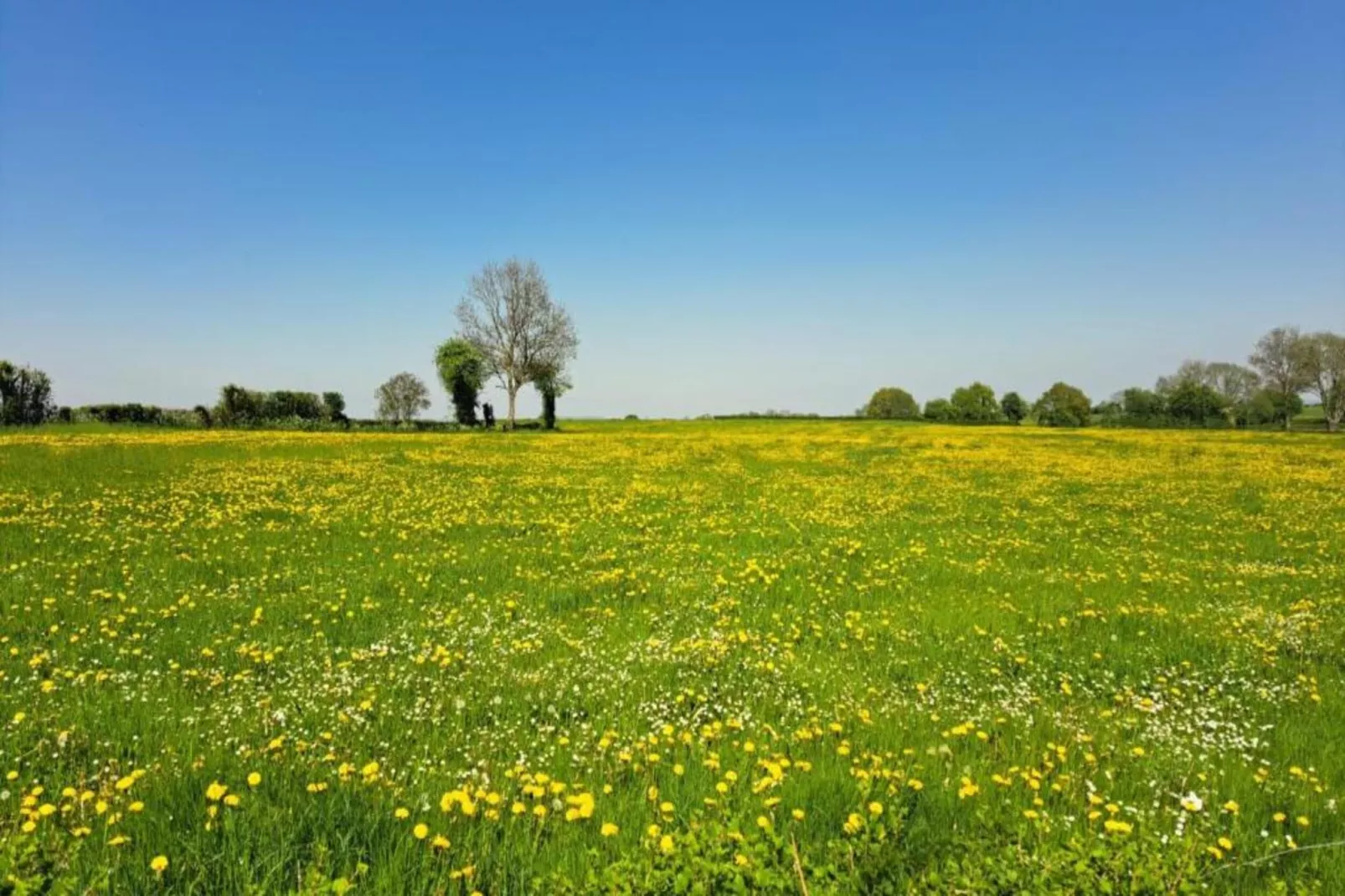 Sapin-Paul-Areas within 20km in summer