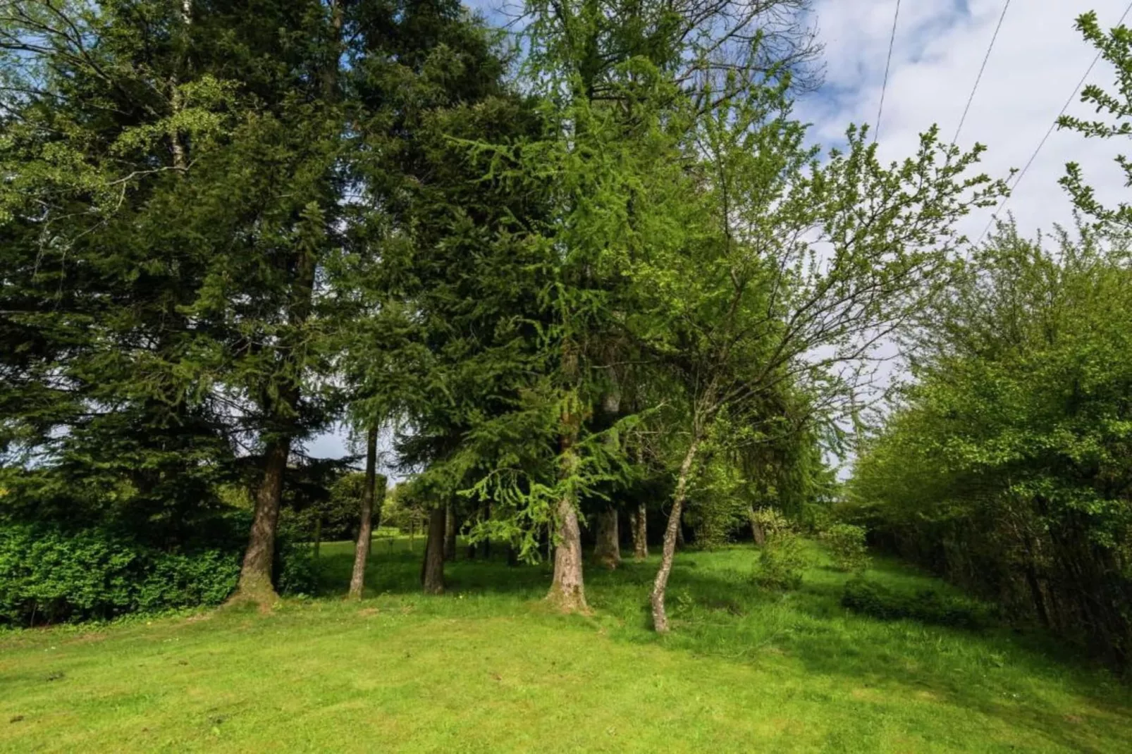 Alouette-Areas within 20km in summer