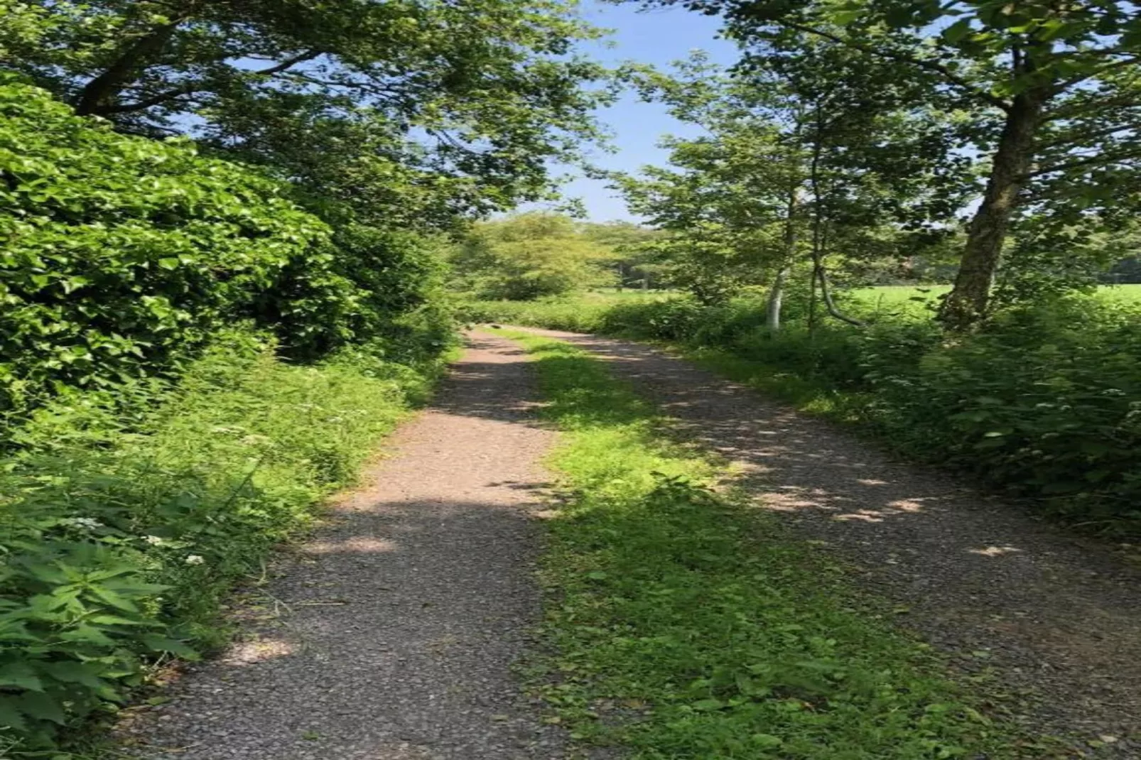 Casteeldoorn-Areas within 20km in summer