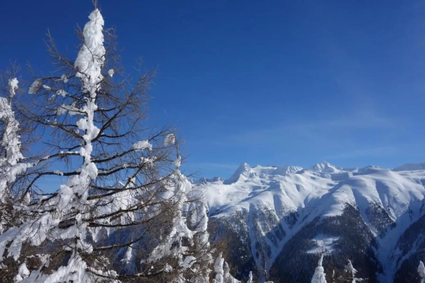 Bel Air-Area within 5km in winter