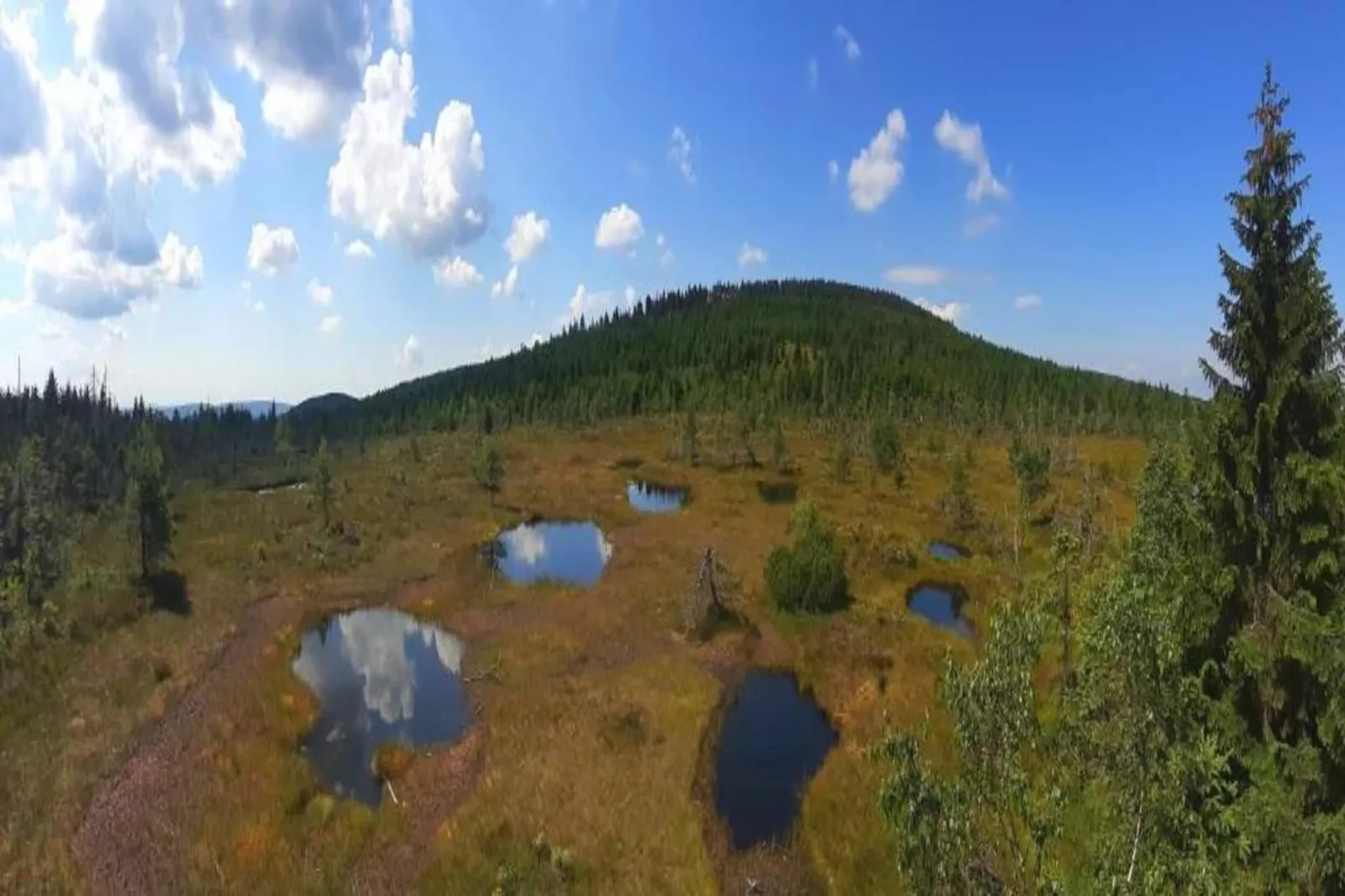 Monika-Areas within 5km in summer