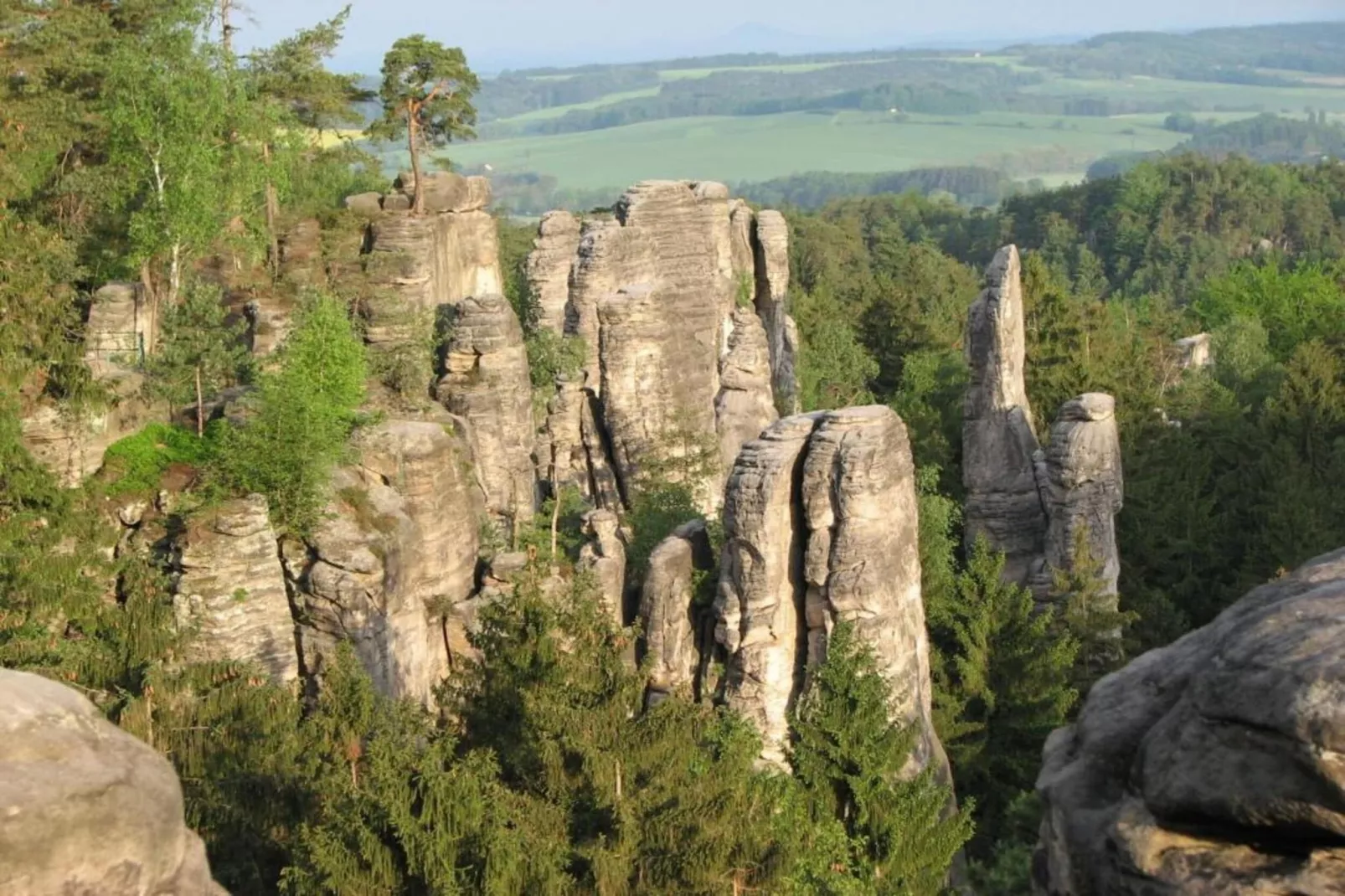 Prachověnka-Areas within 20km in summer