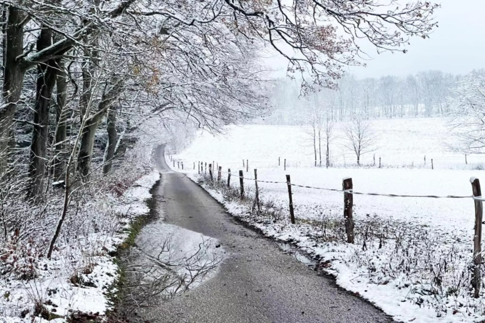 Huis Javornik-Area within 20km in winter