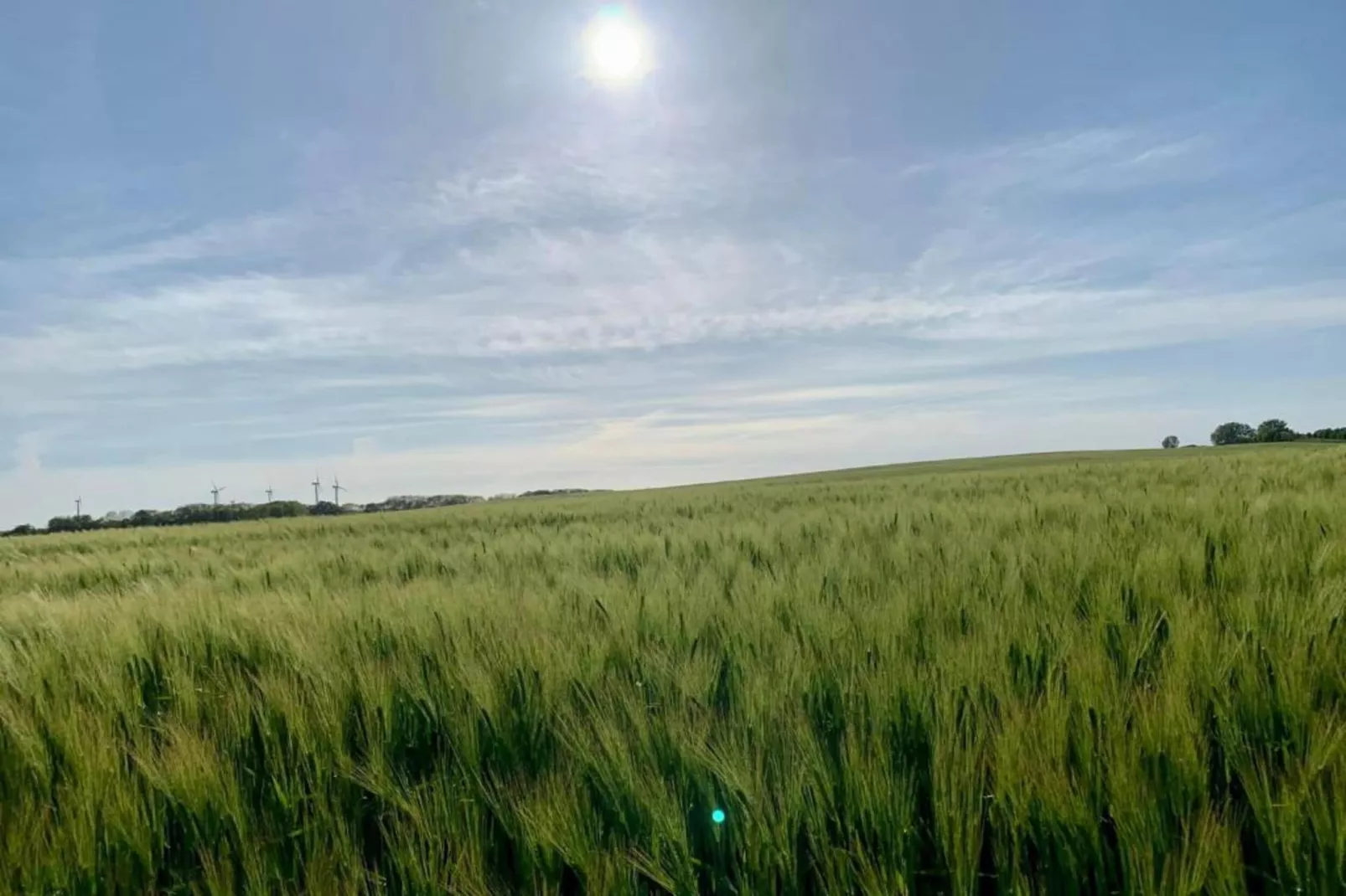 Zur Windmühle-Areas within 20km in summer