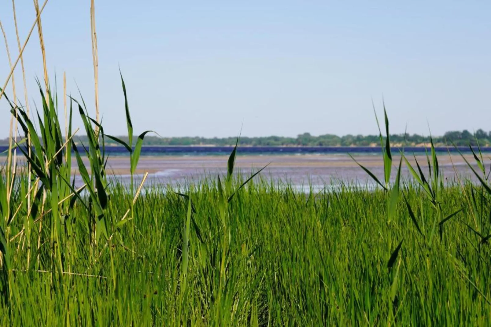 Naturzeit-Zones été à 20 km
