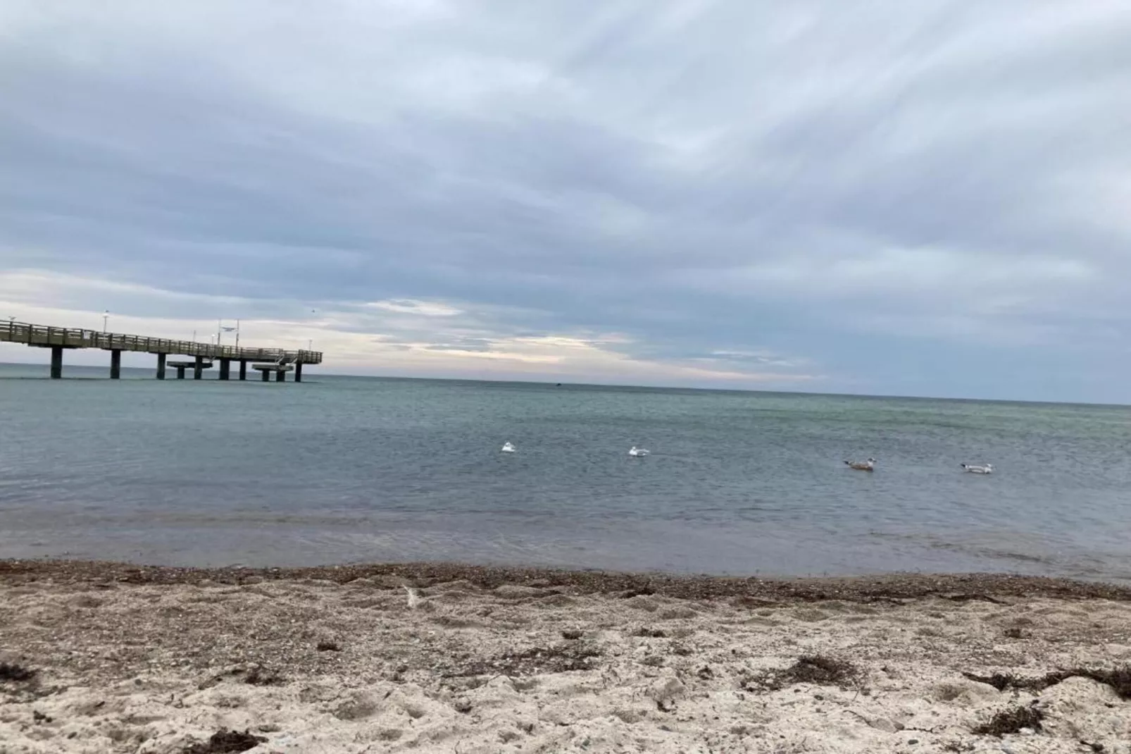 Ferienwohnung Albatross - strandnaher Urlaub Ostseebad Rerik-Gebiete Sommer 5 km