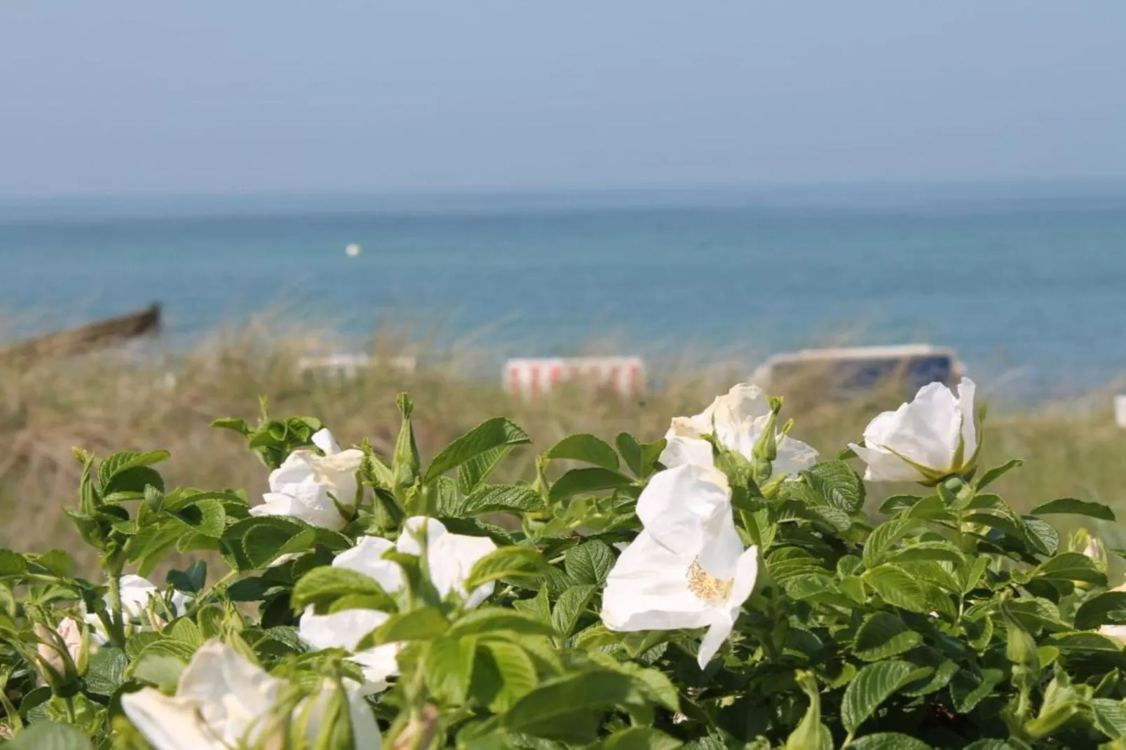 Dat Oole Huus 5-Gebiete Sommer 1 km
