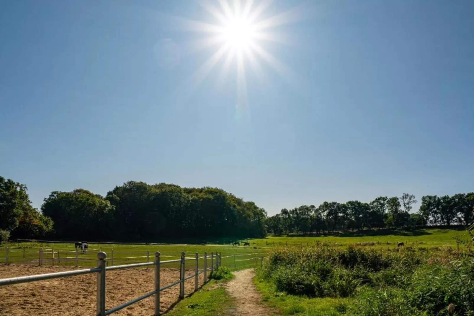 Gartenblick bei Gerdshagen-Areas within 20km in summer
