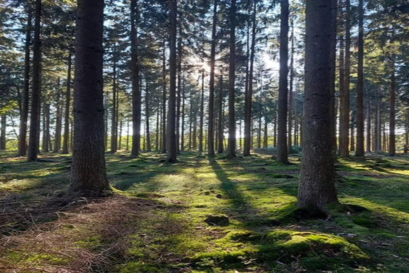 Ferienwohnung Landidyll am Salzhaff-Gebiete Sommer 20 km