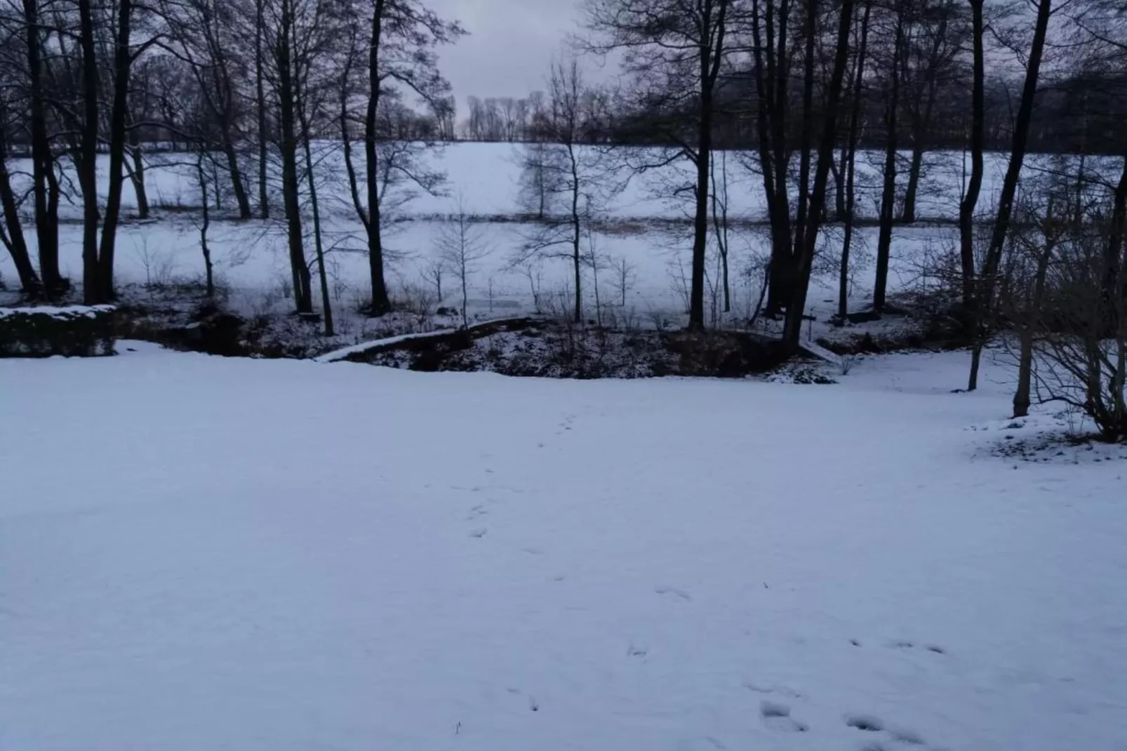 Villa Rotschönberg-Area within 20km in winter