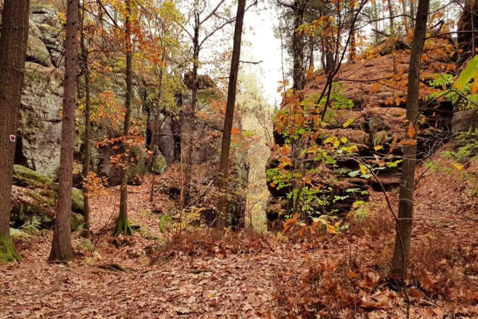 Bastei-Areas within 5km in summer