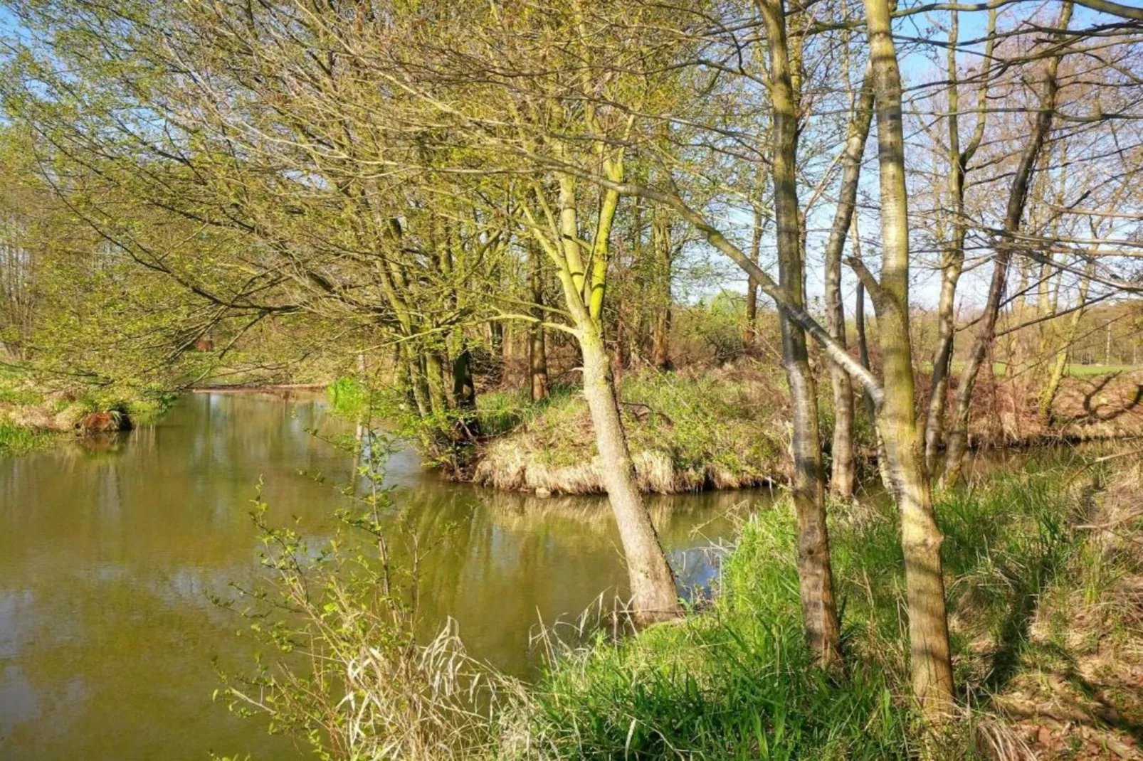 Ferienhaus Lausch-Areas within 5km in summer