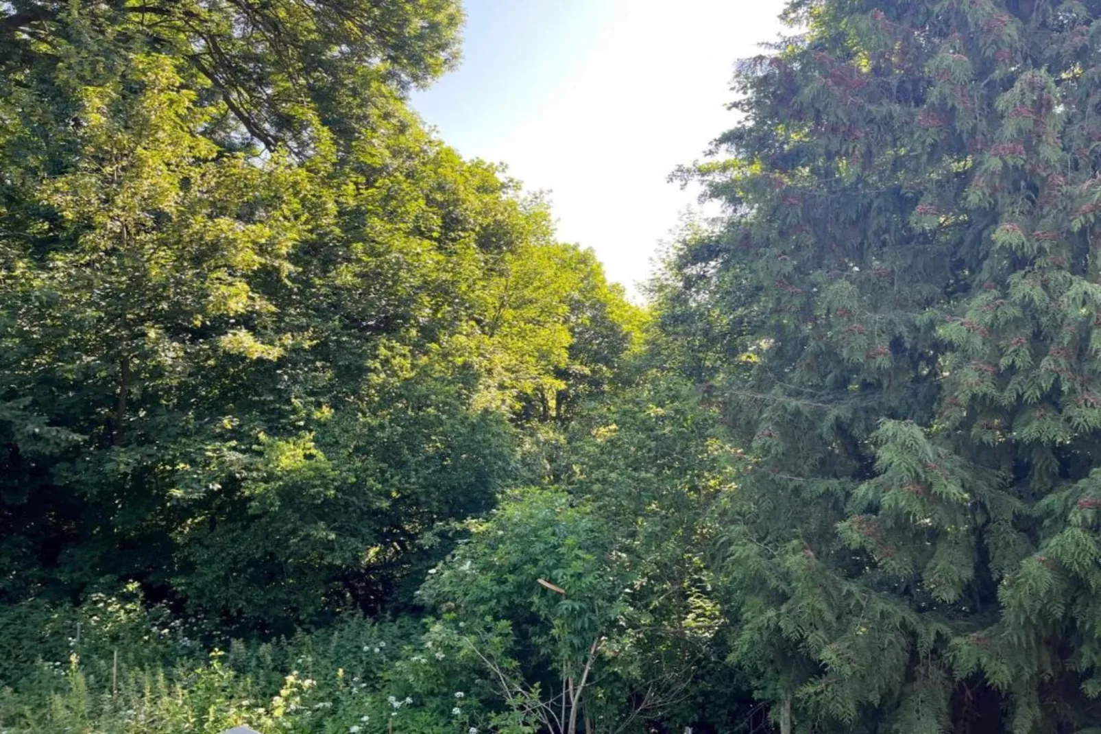 Holzhaus Andi-Areas within 20km in summer