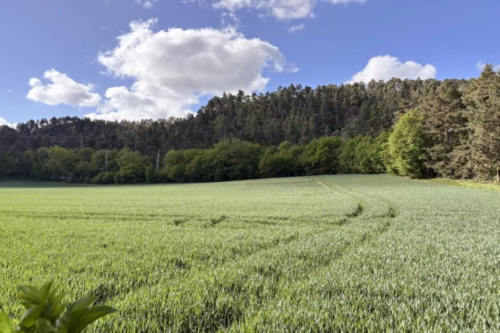 Zur Teufelsmauer-Areas within 5km in summer