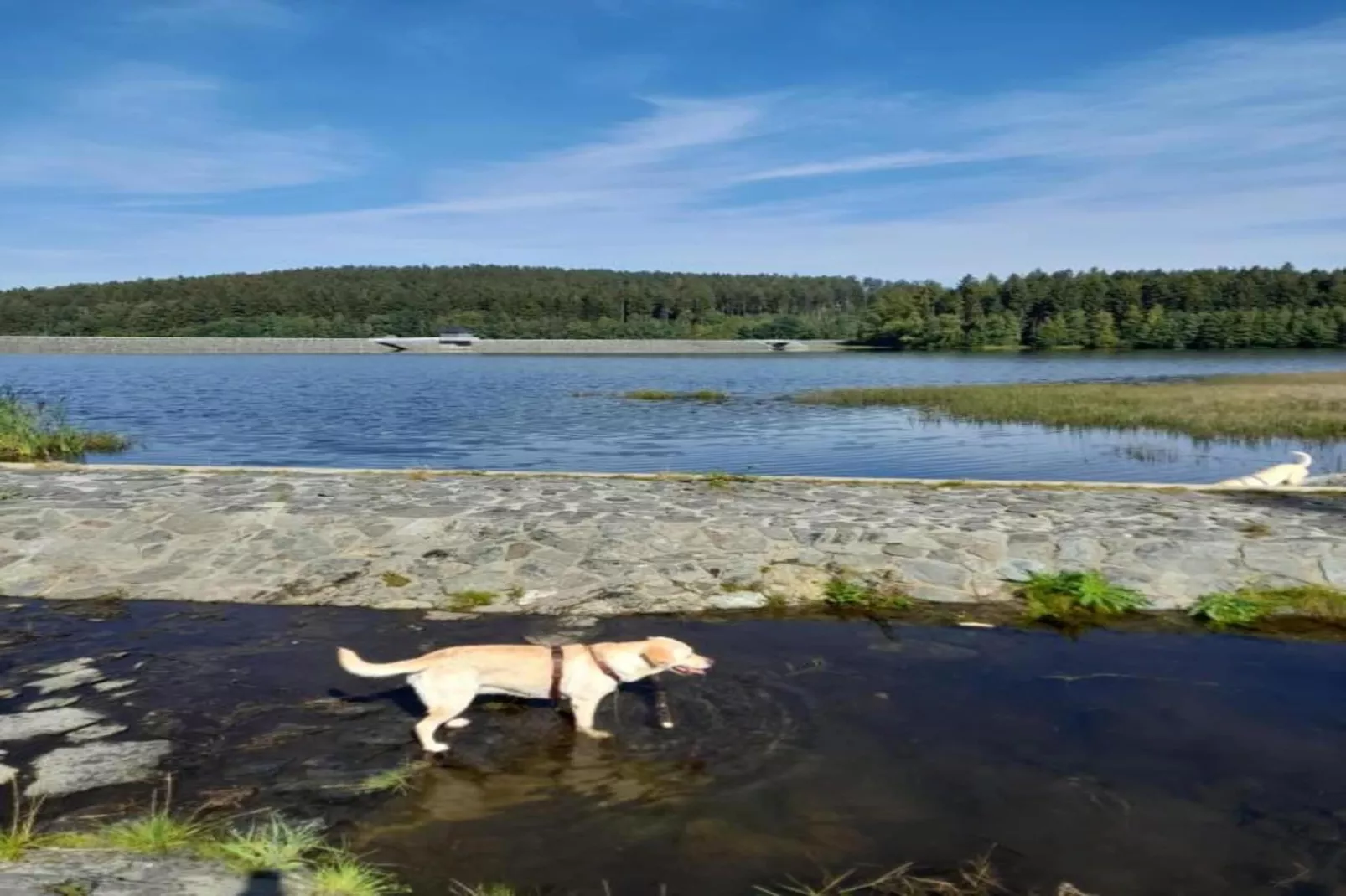 Vogtland-Areas within 20km in summer
