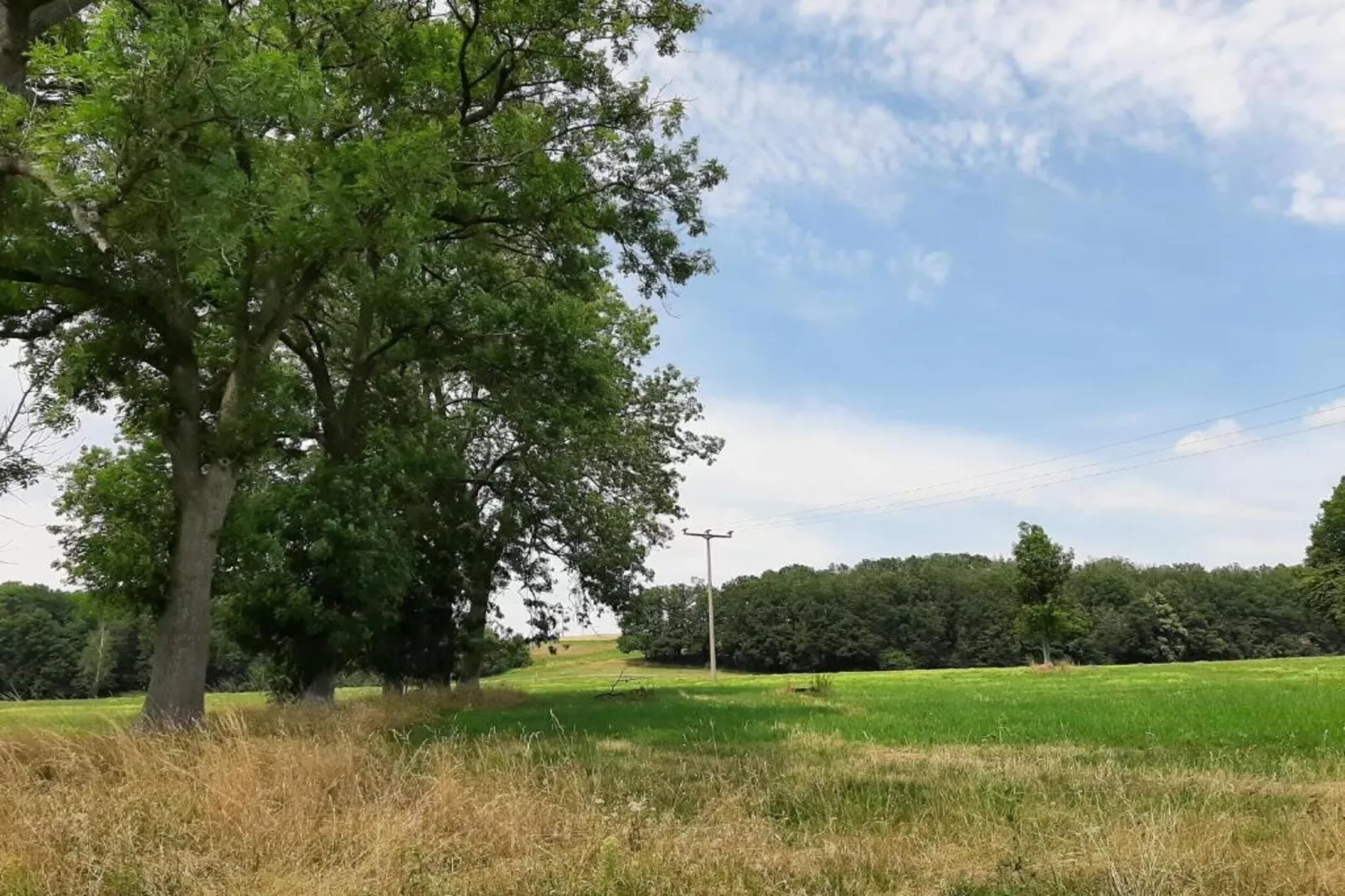 Im Erzgebirge-Areas within 20km in summer