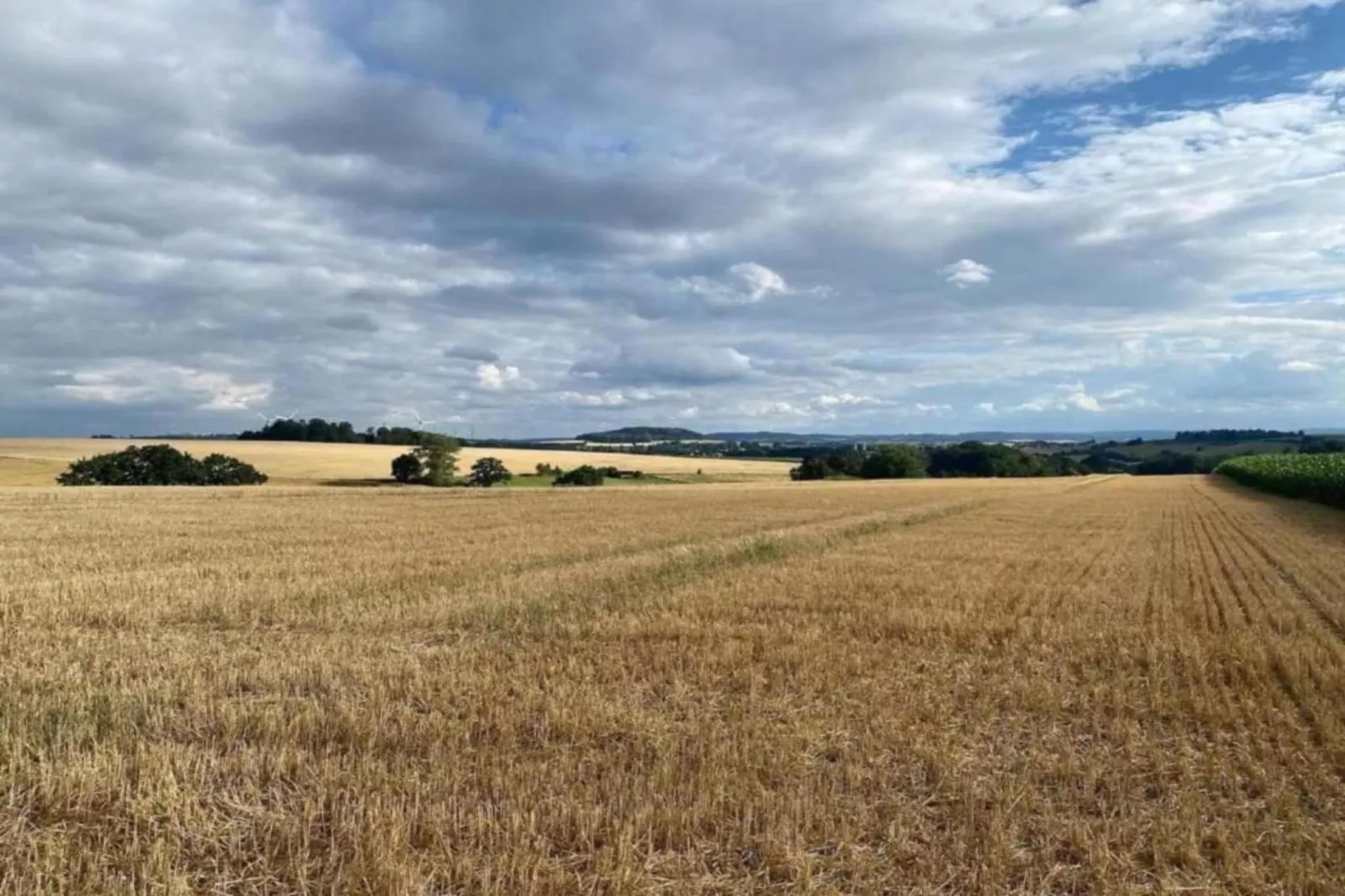 Nieheim-Merlsheim-Zones été à 20 km