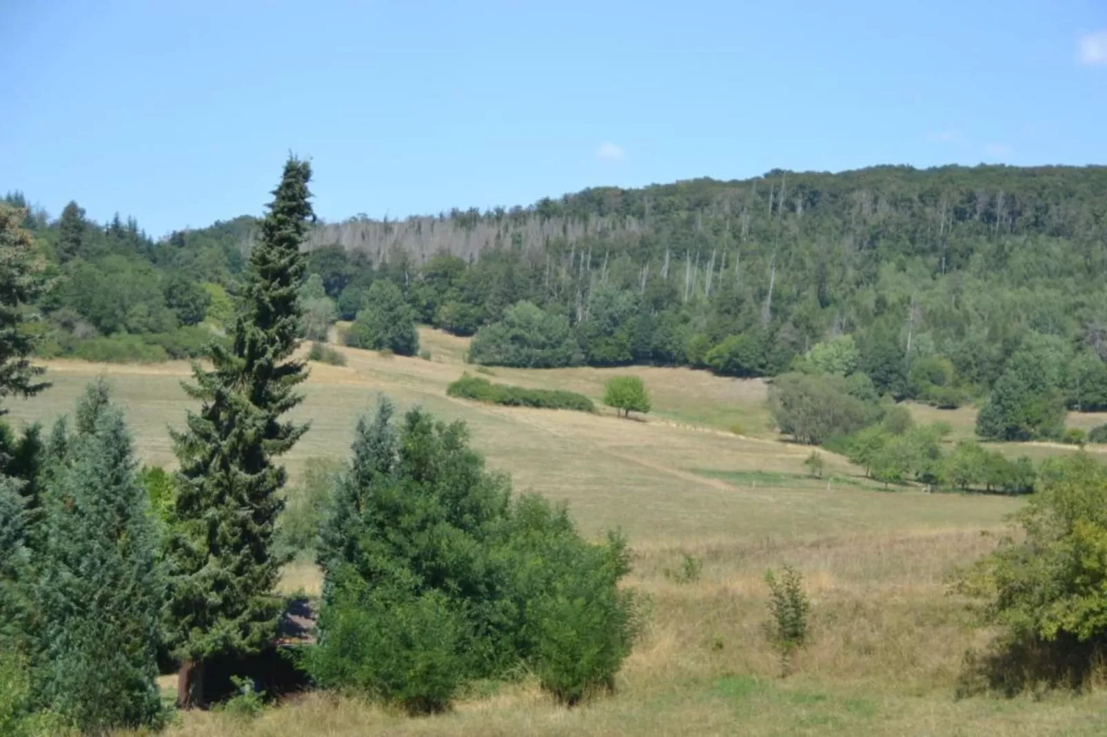 Am Sternberg-Areas within 20km in summer