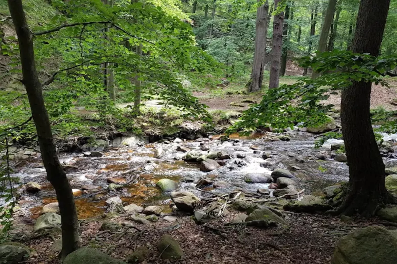Haus Buchberg-Areas within 1km in summer