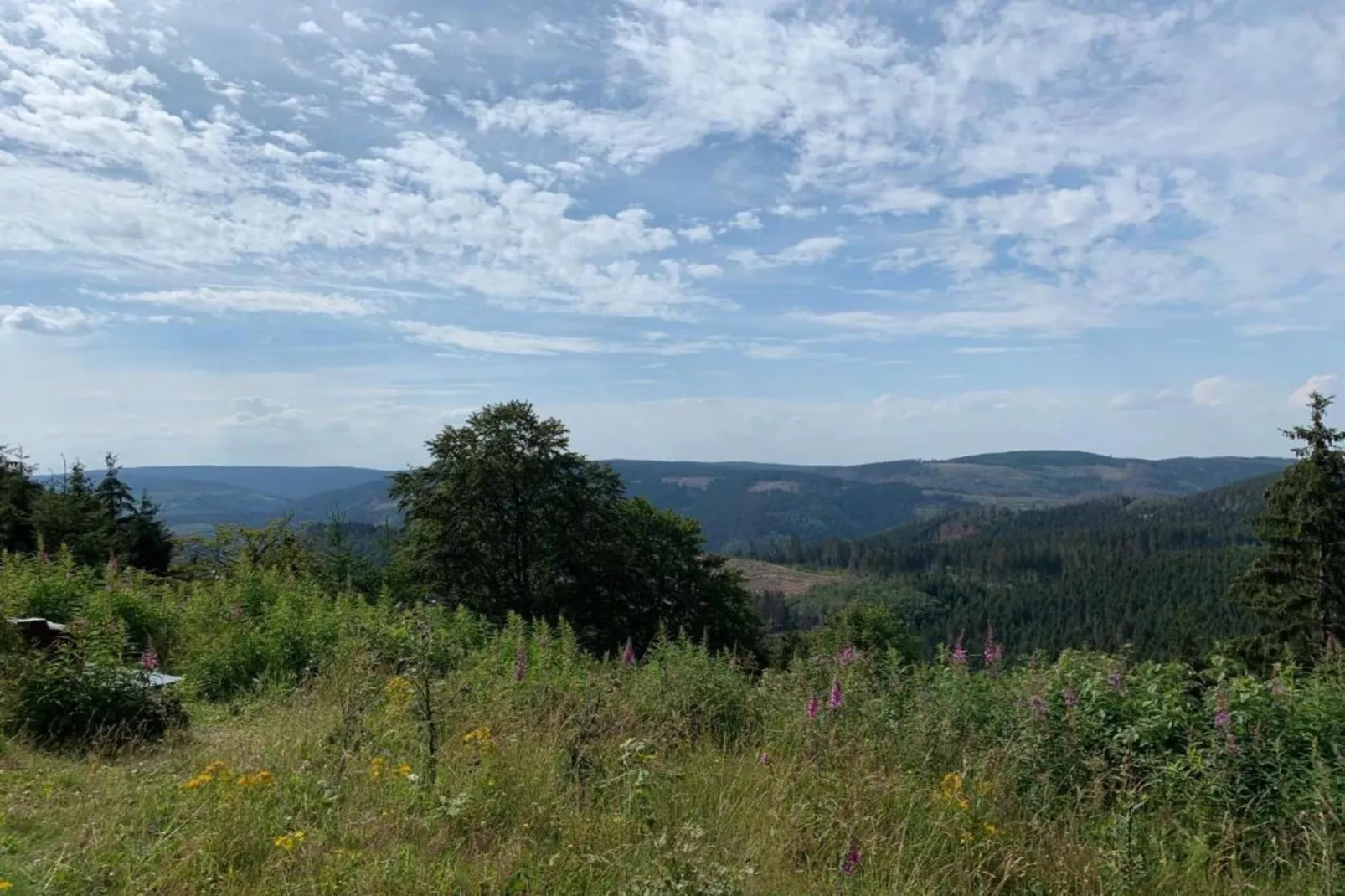 Blankenburg-Gebiete Sommer 5 km