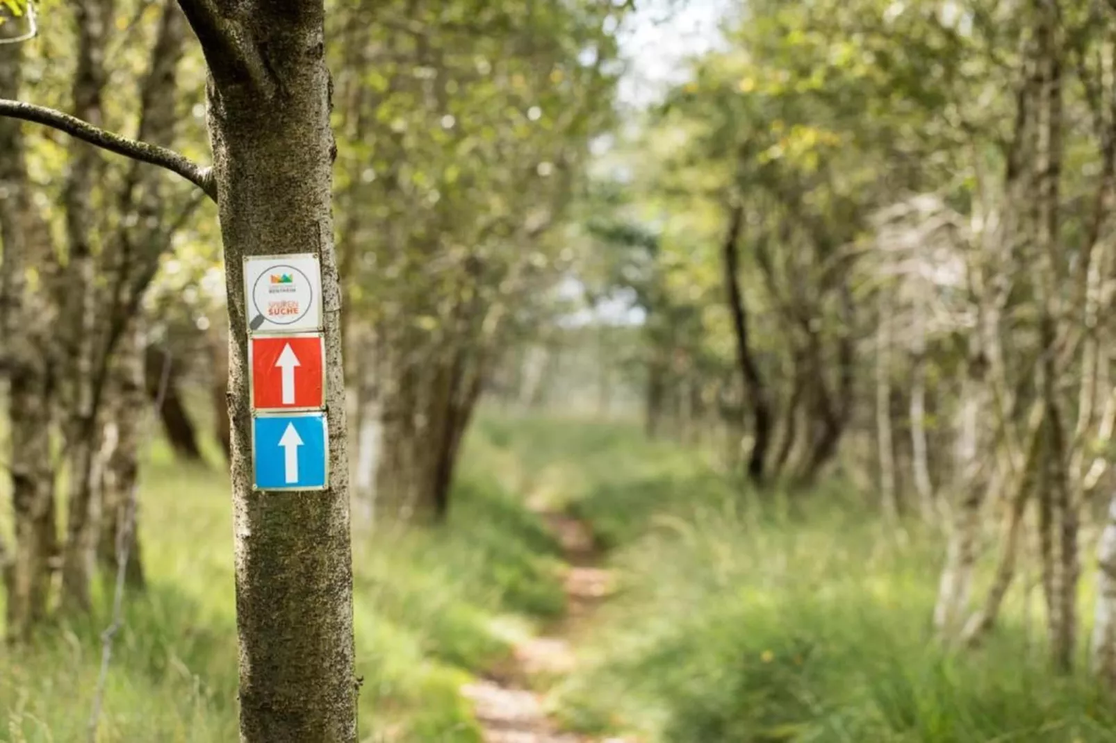 Ferienresort Bad Bentheim 1-Zones été à 20 km