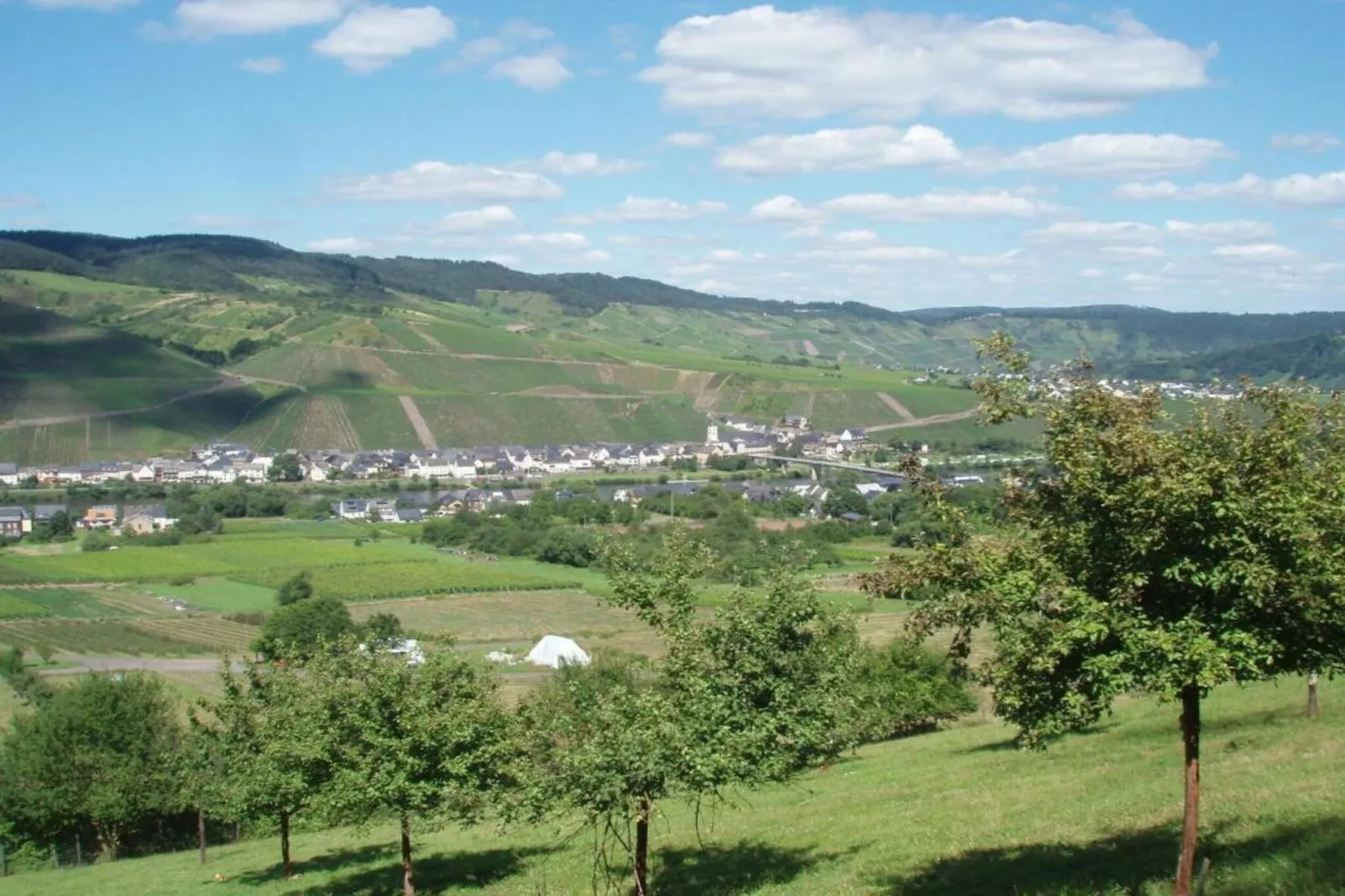 Weingut Justen-Kiebel-Areas within 20km in summer